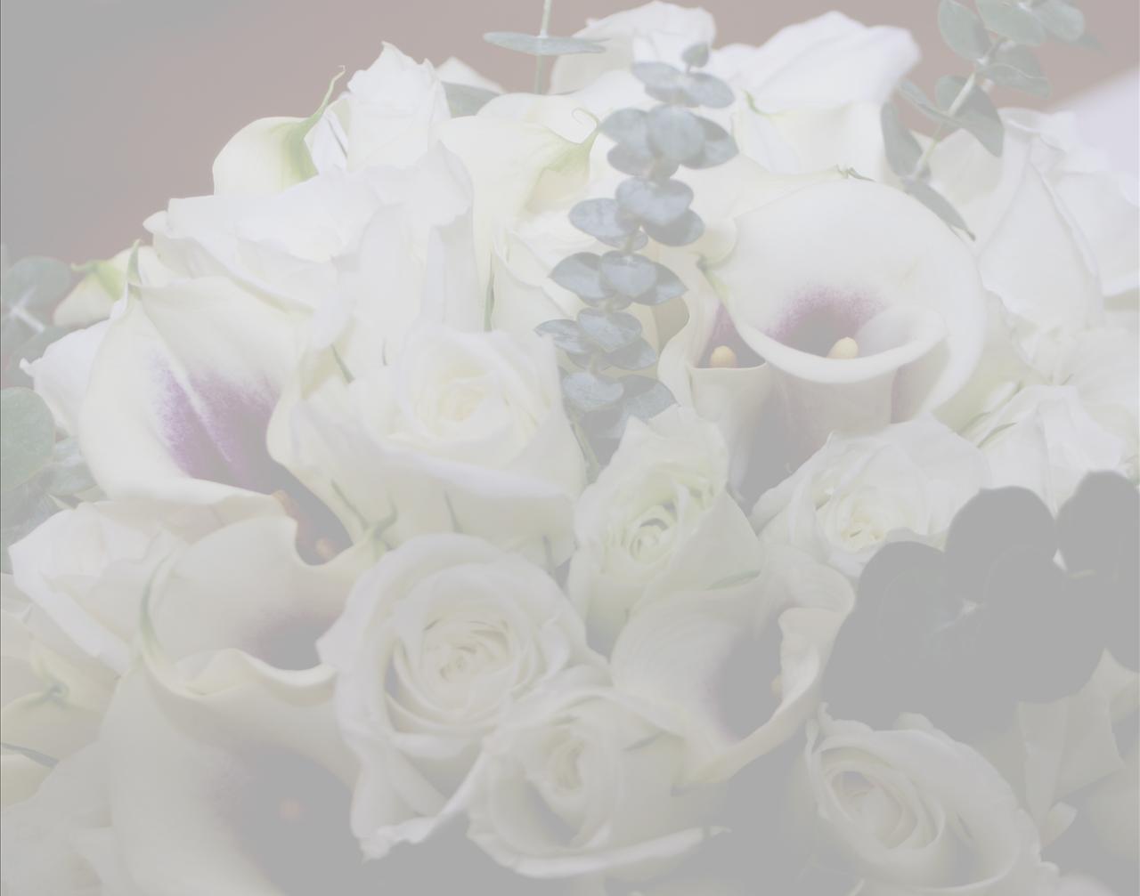 35 Wedding Video Templates